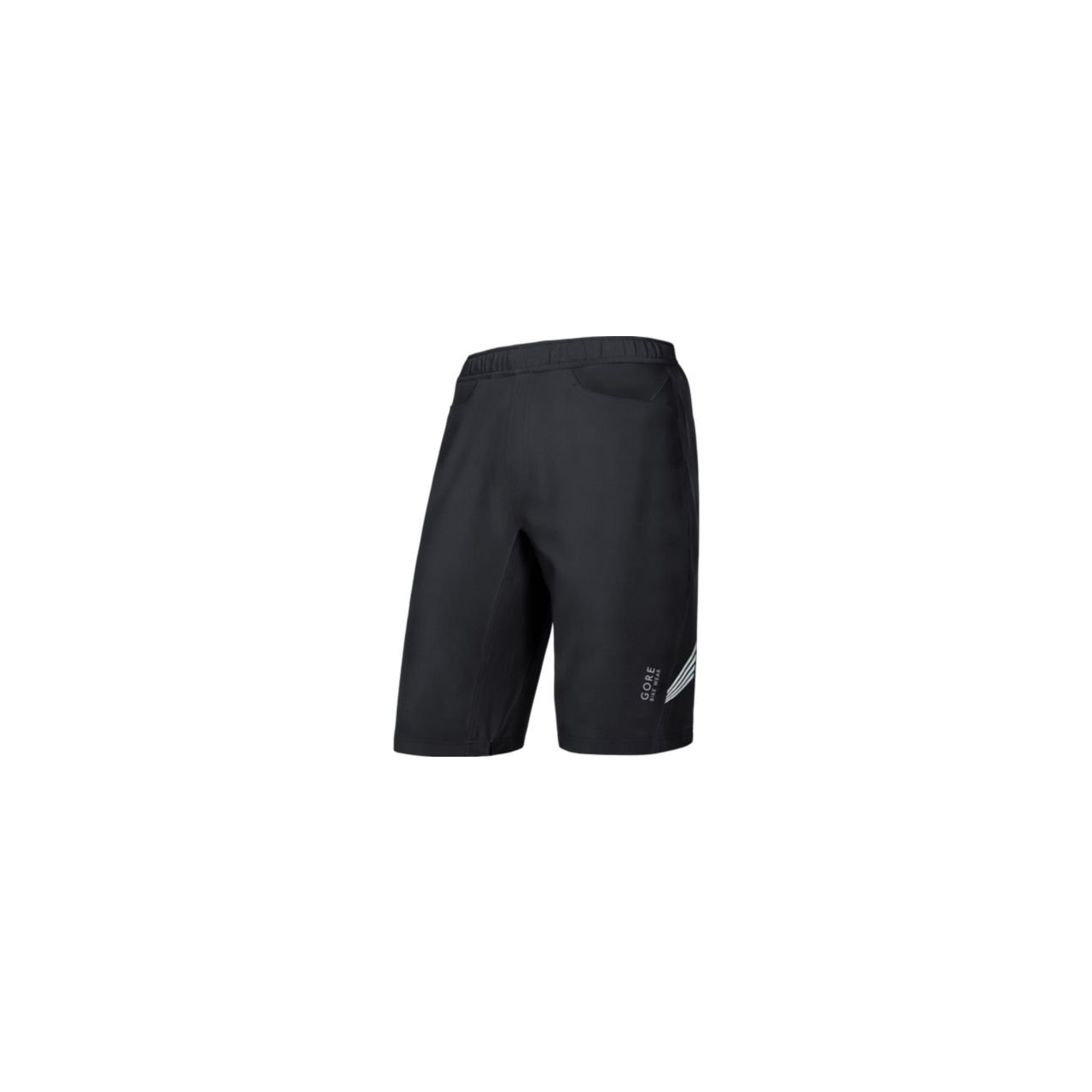 Gore Element 2in1 Shorts